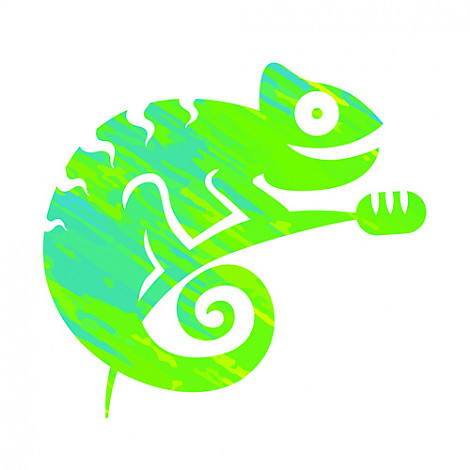 Chameleon Music Marketing Ltd